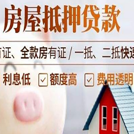 潮安贷款助贷公司新渝启服成立时间久